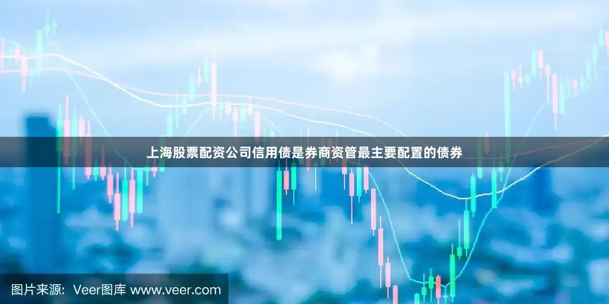 上海股票配资公司信用债是券商资管最主要配置的债券