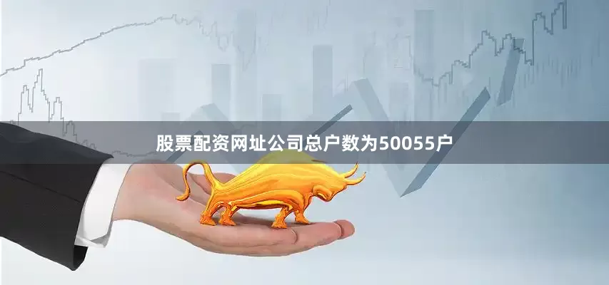股票配资网址公司总户数为50055户