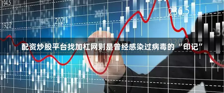 配资炒股平台找加杠网则是曾经感染过病毒的 “印记”
